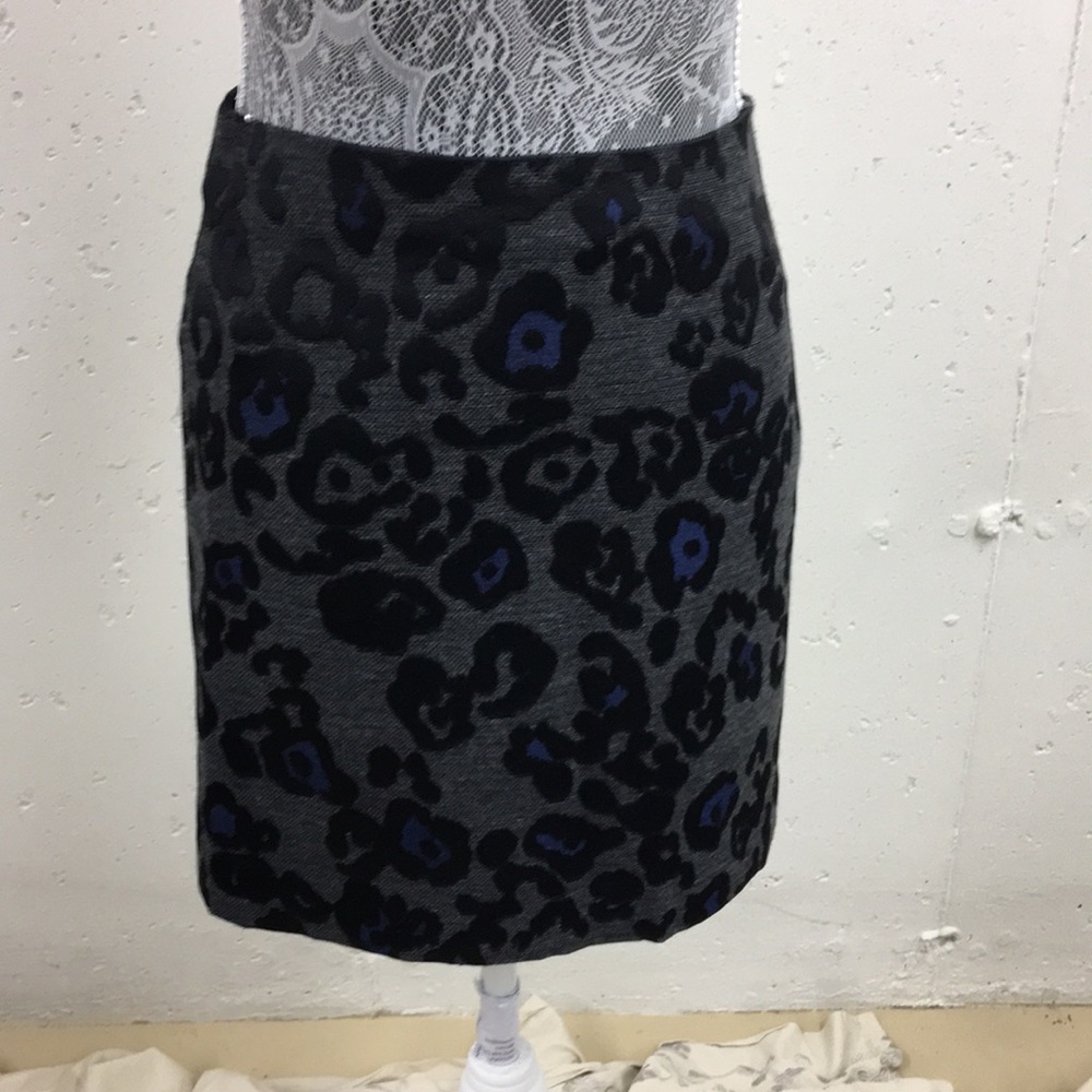 Ann Taylor skirt